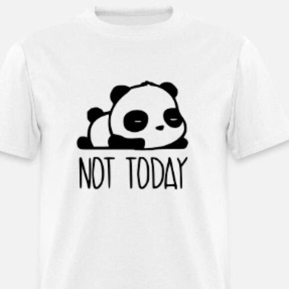 Nope, not today panda - Picture 1 of 1